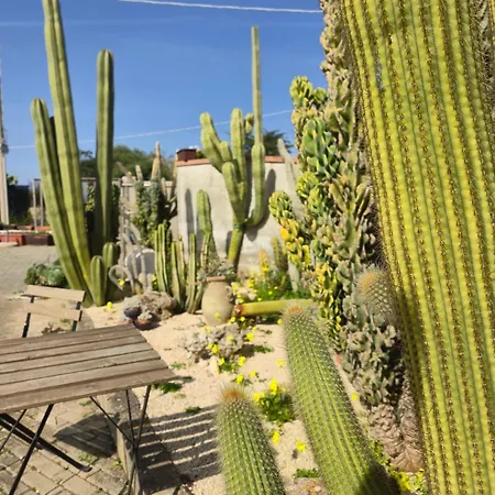 Nyaraló Casa Lilly Porto Torres