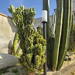 Casa Lilly