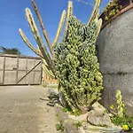Casa Lilly Dom wakacyjny *